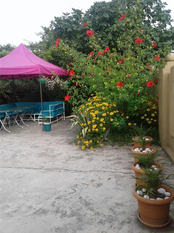 ホテル Gonio Apsaros House エクステリア 写真