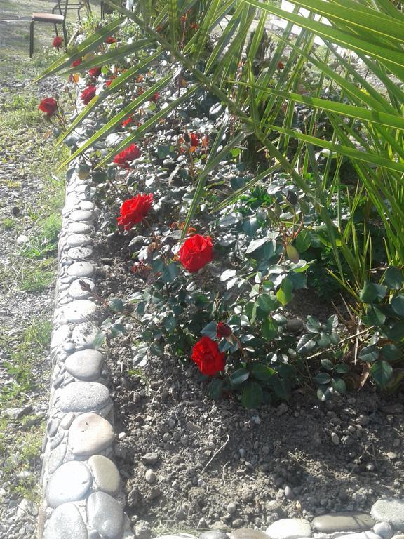 ホテル Gonio Apsaros House エクステリア 写真